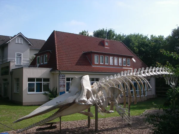 Bild 0: Nationalpark-Haus „Rosenhaus“ Wangerooge